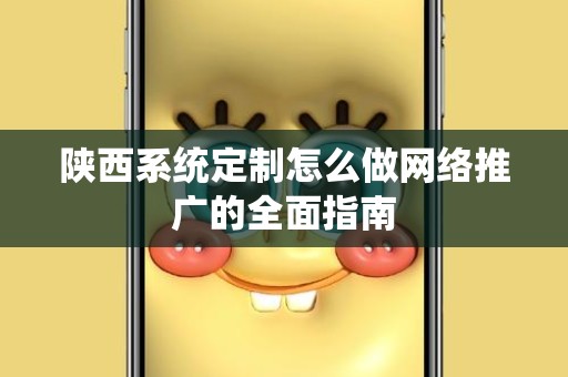 陕西系统定制怎么做网络推广的全面指南