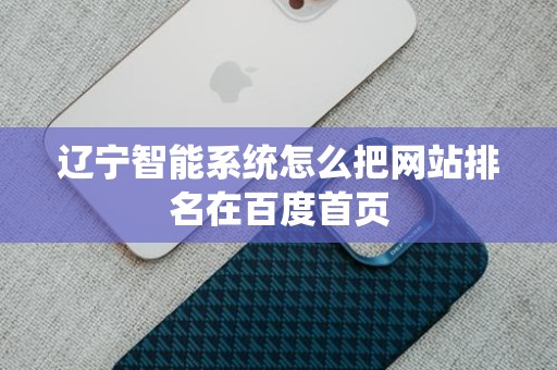 辽宁智能系统怎么把网站排名在百度首页