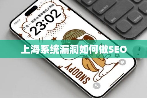 上海系统漏洞如何做SEO