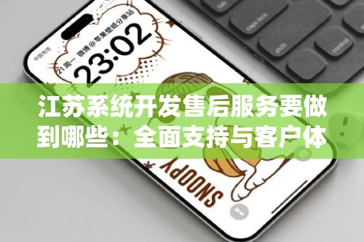 江苏系统开发售后服务要做到哪些：全面支持与客户体验提升