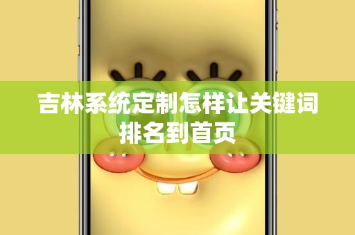 吉林系统定制怎样让关键词排名到首页