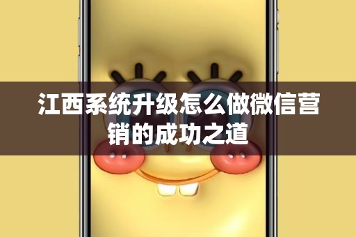 江西系统升级怎么做微信营销的成功之道