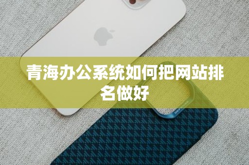 青海办公系统如何把网站排名做好