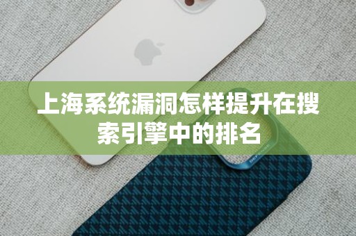 上海系统漏洞怎样提升在搜索引擎中的排名