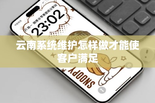 云南系统维护怎样做才能使客户满足