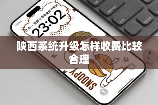 陕西系统升级怎样收费比较合理