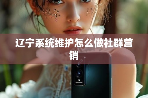 辽宁系统维护怎么做社群营销