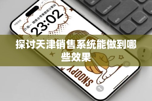 探讨天津销售系统能做到哪些效果