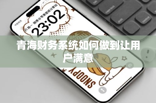 青海财务系统如何做到让用户满意