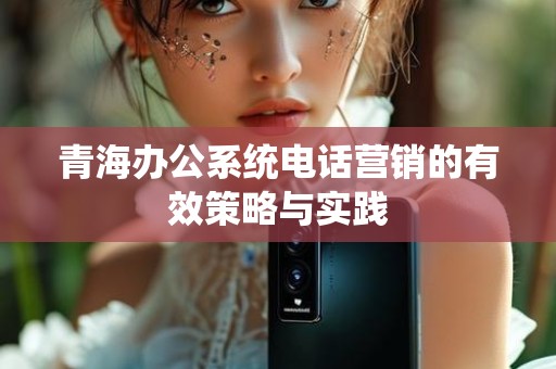 青海办公系统电话营销的有效策略与实践