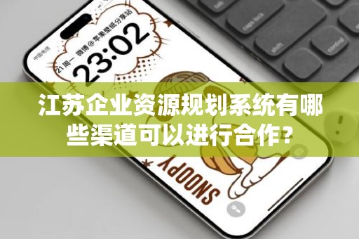 江苏企业资源规划系统有哪些渠道可以进行合作？