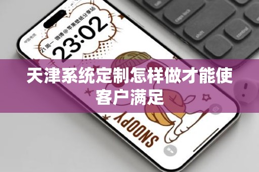 天津系统定制怎样做才能使客户满足