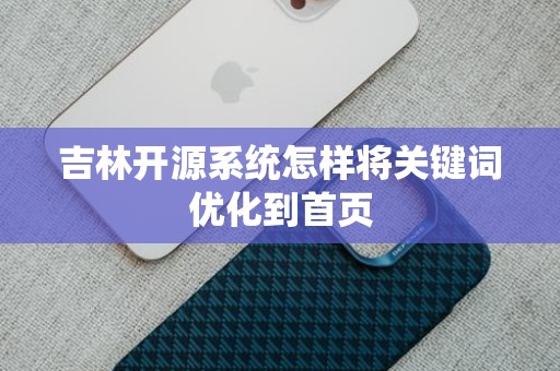 吉林开源系统怎样将关键词优化到首页
