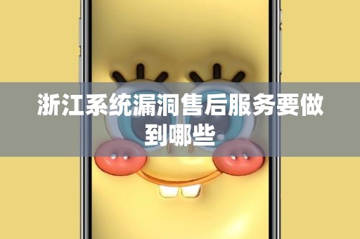 浙江系统漏洞售后服务要做到哪些