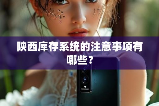 陕西库存系统的注意事项有哪些？