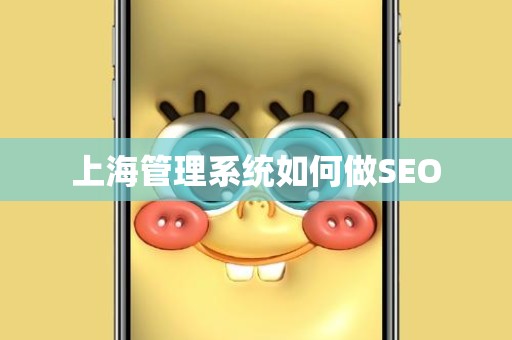 上海管理系统如何做SEO