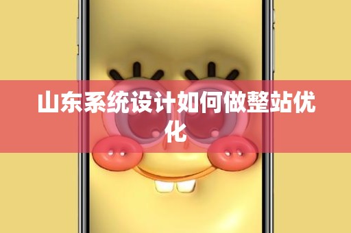 山东系统设计如何做整站优化