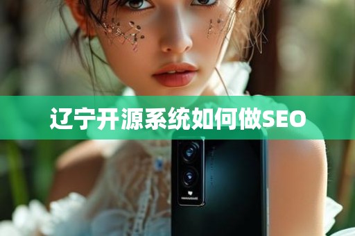 辽宁开源系统如何做SEO
