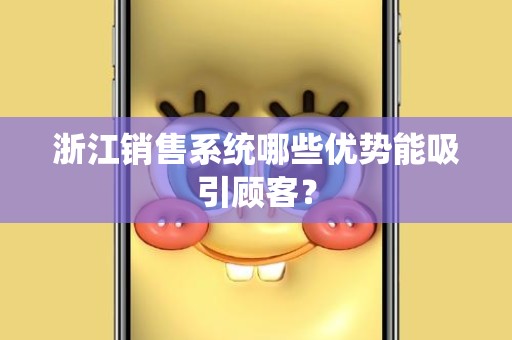 浙江销售系统哪些优势能吸引顾客？
