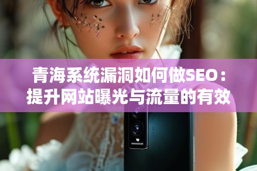 青海系统漏洞如何做SEO：提升网站曝光与流量的有效策略