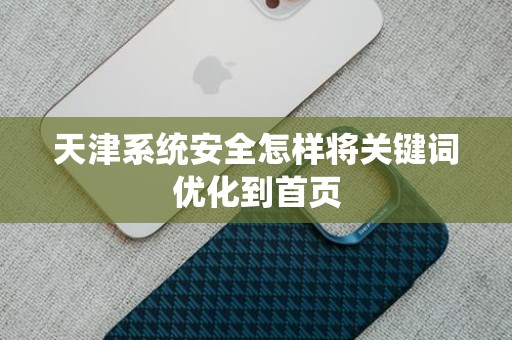 天津系统安全怎样将关键词优化到首页