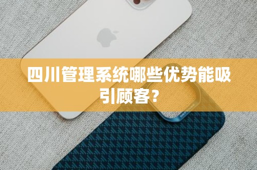 四川管理系统哪些优势能吸引顾客？