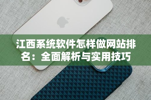 江西系统软件怎样做网站排名：全面解析与实用技巧