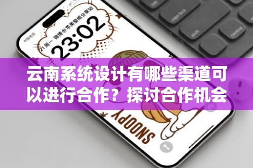 云南系统设计有哪些渠道可以进行合作？探讨合作机会与发展前景