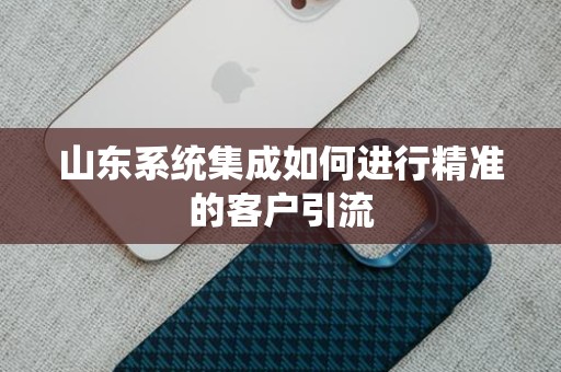 山东系统集成如何进行精准的客户引流