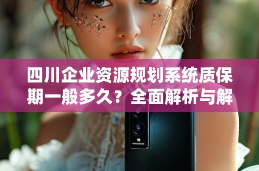 四川企业资源规划系统质保期一般多久？全面解析与解答