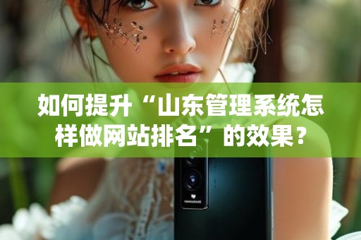 如何提升“山东管理系统怎样做网站排名”的效果？