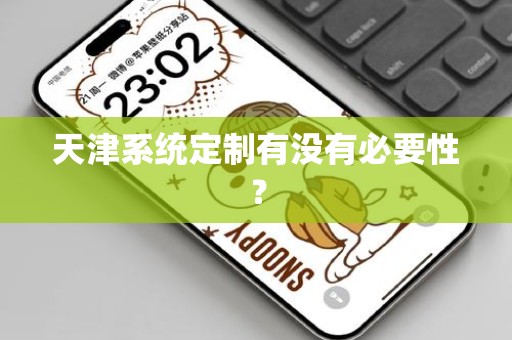 天津系统定制有没有必要性？