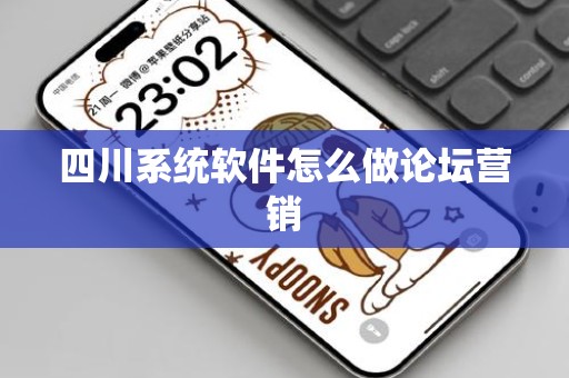 四川系统软件怎么做论坛营销