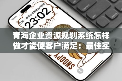 青海企业资源规划系统怎样做才能使客户满足：最佳实践与策略