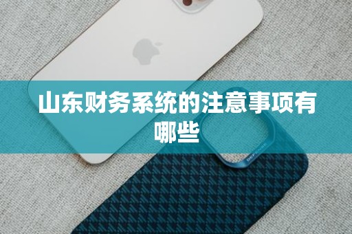 山东财务系统的注意事项有哪些