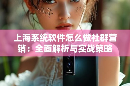 上海系统软件怎么做社群营销：全面解析与实战策略