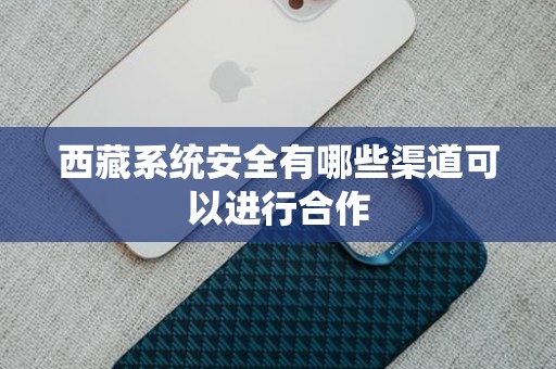 西藏系统安全有哪些渠道可以进行合作