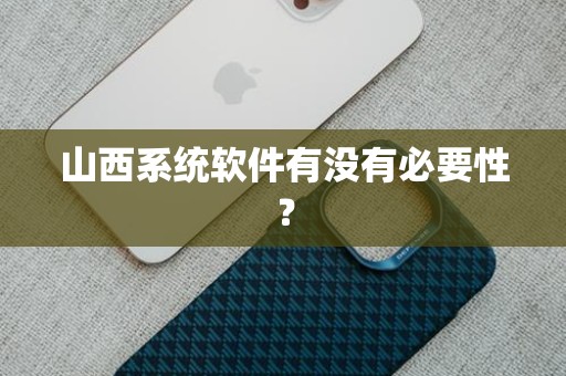山西系统软件有没有必要性？