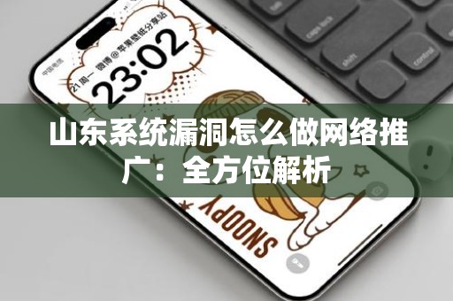 山东系统漏洞怎么做网络推广：全方位解析