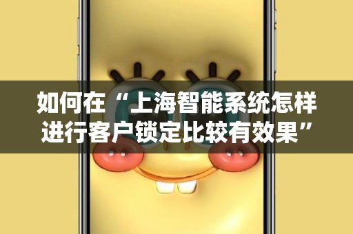 如何在“上海智能系统怎样进行客户锁定比较有效果”中实现客户精准营销？