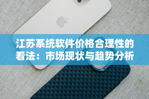 江苏系统软件价格合理性的看法：市场现状与趋势分析