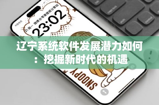 辽宁系统软件发展潜力如何：挖掘新时代的机遇