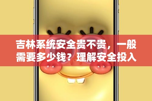 吉林系统安全贵不贵，一般需要多少钱？理解安全投入的重要性