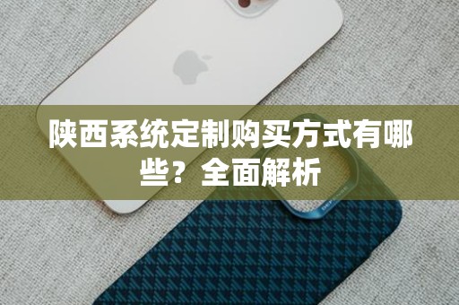 陕西系统定制购买方式有哪些？全面解析