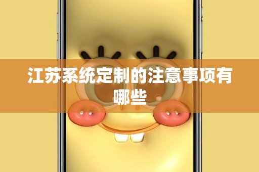 江苏系统定制的注意事项有哪些
