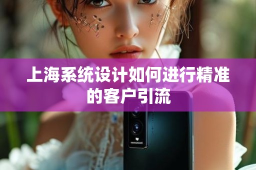 上海系统设计如何进行精准的客户引流