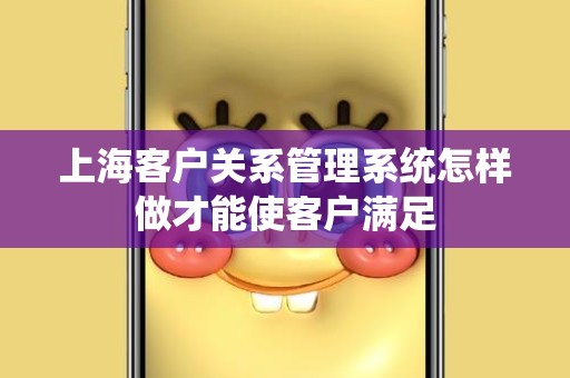 上海客户关系管理系统怎样做才能使客户满足
