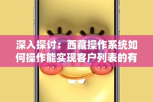 深入探讨：西藏操作系统如何操作能实现客户列表的有效管理