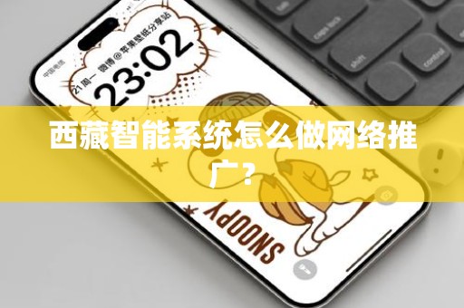 西藏智能系统怎么做网络推广？