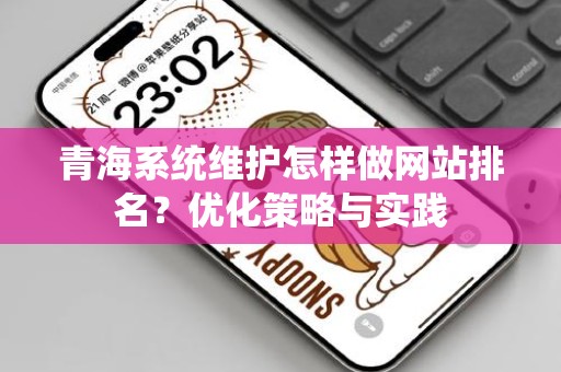 青海系统维护怎样做网站排名？优化策略与实践